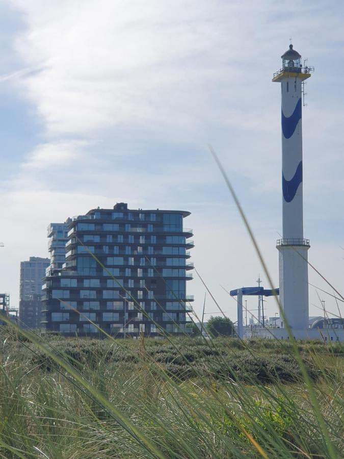 Central Park Tower Sea View Residence With Pool And Gym Οστένδη Εξωτερικό φωτογραφία